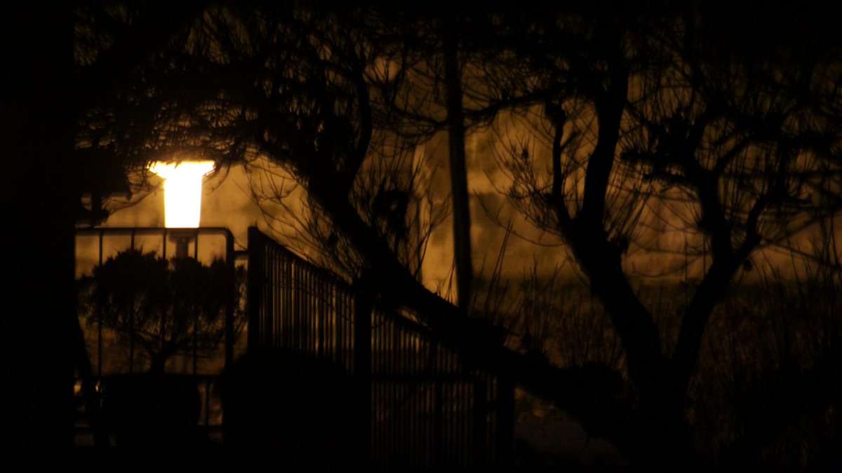 DancingPolygon's tweet image. tmblr.co/Zb5tei2HdIn6M - Twigs // Dancing Polygon 
#photography #atmosphere #night #street