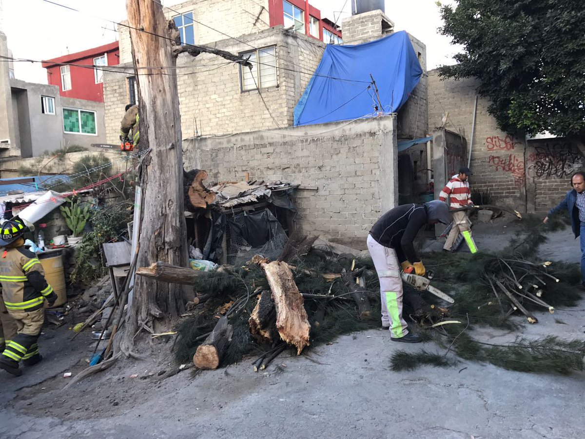 PCivilTlahuac's tweet photo. @RigoSalgadoV @SPCCDMX @TlahuacRenace con apoyo @SerUrbaTlahuac retiro #Arbol afecta #Vivienda Col. #MiguelHidalgo https://t.co/USF5BKKtqr