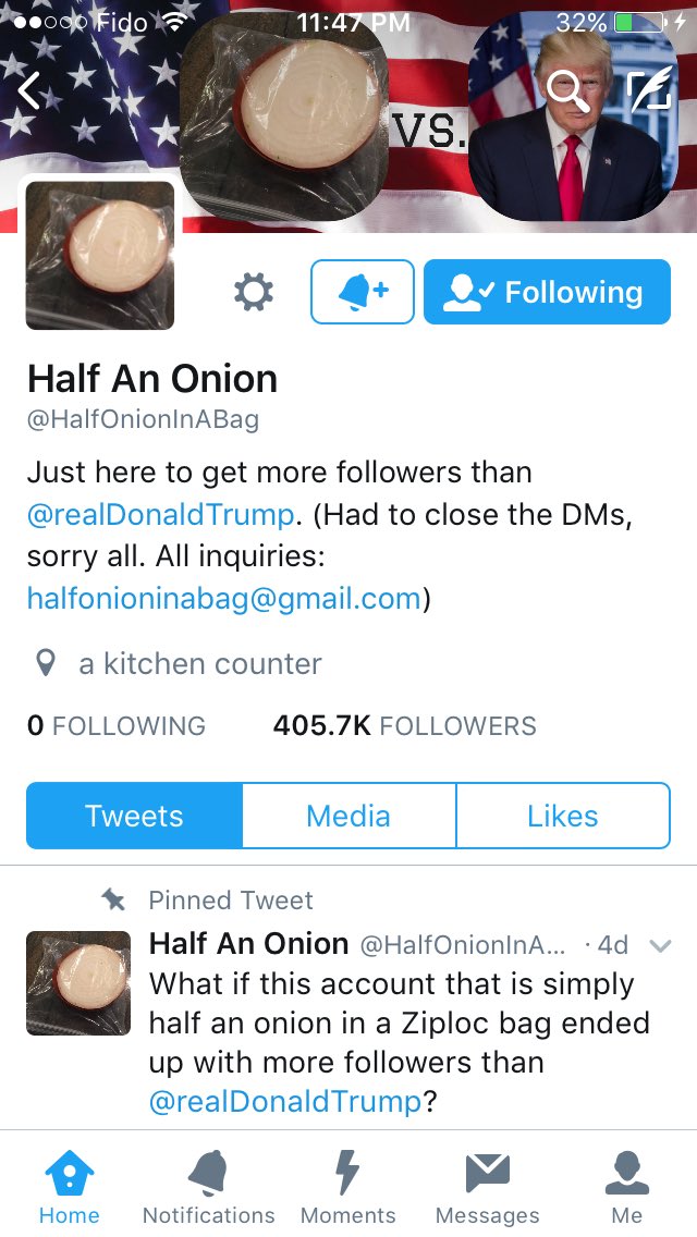 JessiJeffery's tweet photo. Everyone go follow @HalfOnionInABag just because. 😂 https://t.co/qsllxYqXXE