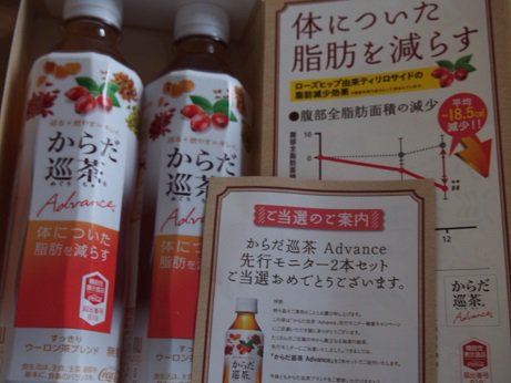 からだ巡茶アドバンスは脂肪減らすローズヒップ配合 からだ巡り茶口コミ