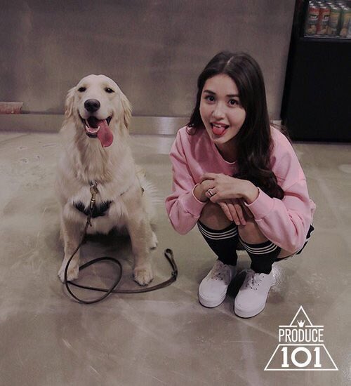 jsomi39's tweet photo. @_a そみです。犬とわたしの区別はしてね！#RTしたbotとペンを迎えにいく よ。 https://t.co/0RUVHU9m4I