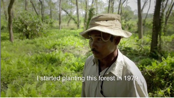 Greenpeace's tweet photo. "I will continue to plant until my last breath" Meet the man who planted a forest 🌳  🌳  🌳  https://t.co/z53xVWvky1 https://t.co/gBSomrOdnI