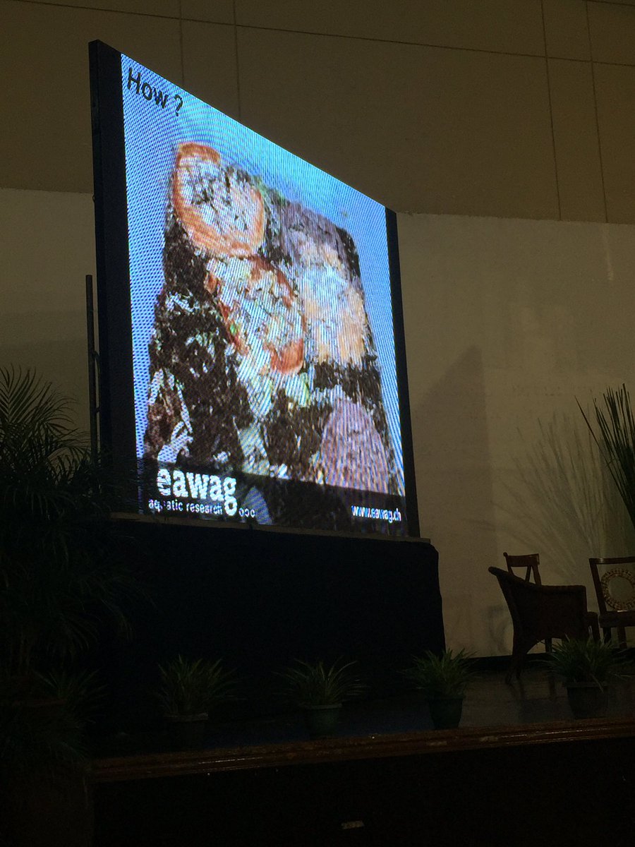 ZeroWastePH's tweet photo. Bart Verstappen talking about using flies' larvae for organic waste composting #GoForZeroWaste #ZeroWasteMonth #ZeroWastePh https://t.co/GqtVAdFBVx