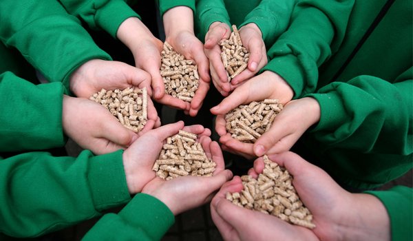 IMAOelectric's tweet photo. Prečo drevené pelety? Aké výhody Vám môže priniesť toto biopalivo? - https://t.co/Gx0ria92Gr 

#biopalivo  #pelety #biofuels  #cleanenergy https://t.co/UM8u9GhS3A