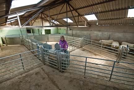 robsonandcowan's tweet photo. Discussion on @BBCBreakfast this morning about #DressCode Discrimination Does this happen in the #SheepPens around Britain ?haha #sheep365 https://t.co/dKUSilipLe