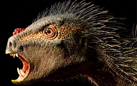 Toptenofcity's tweet photo. Discovery of some strange &amp; Bizzare species 👇 | #NewlyDiscoveredAnimals
https://t.co/gknXNJvlyY https://t.co/rkKHfkRzXr
