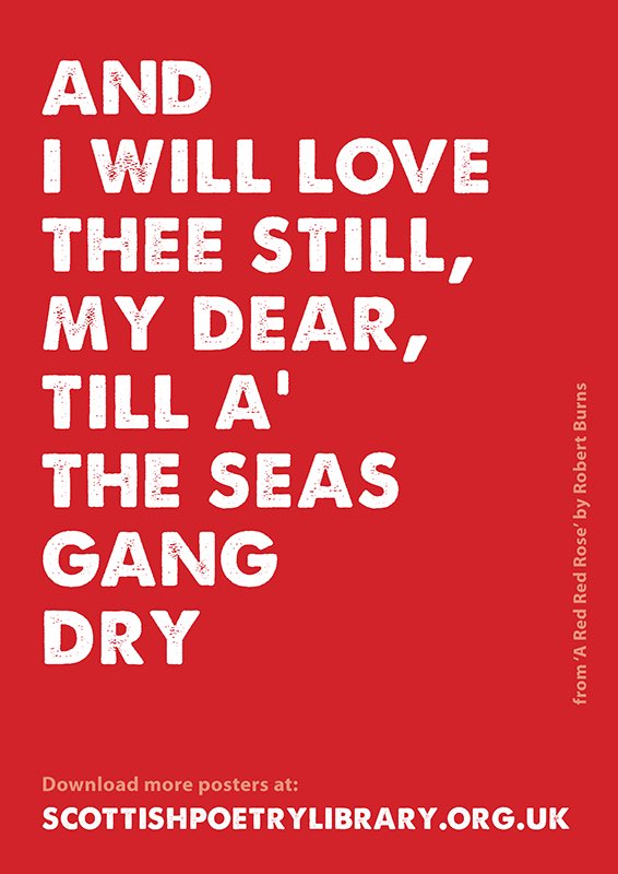 DesignCaledonia's tweet image. Still love these posters by @ByLeavesWeLive 👌🏼🌹 #BurnsNight2017