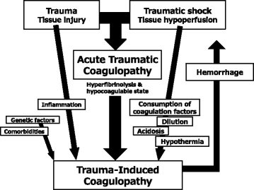 Trauma-induced coagulopathy and critical bleeding. The new thematic series in Journal of Intensive Care.
bit.ly/2j3RKBx
#FOAMed