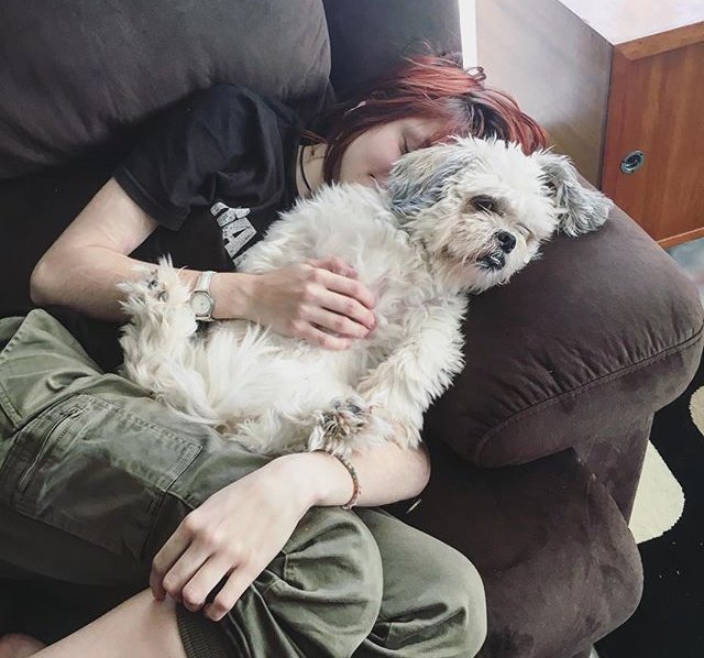 _Ally_bear__'s tweet photo. Cuddled up with my bean ⭐ https://t.co/lNVQ7rPGFP