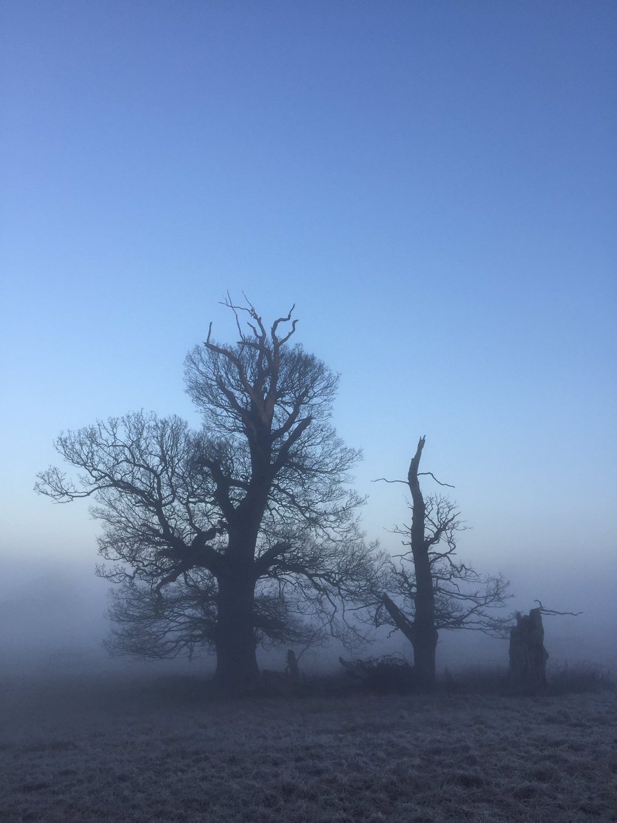 Victoria Richardson tweet media