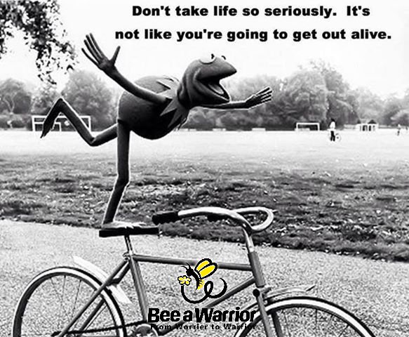 beeawarrior's tweet photo. From Worrier to Warrior, Contact us https://t.co/k14ijN1C88
#MindPerformance #Anxiety #StopSmoking #WeightLoss
#fun #happy #life https://t.co/syTdypOurA
