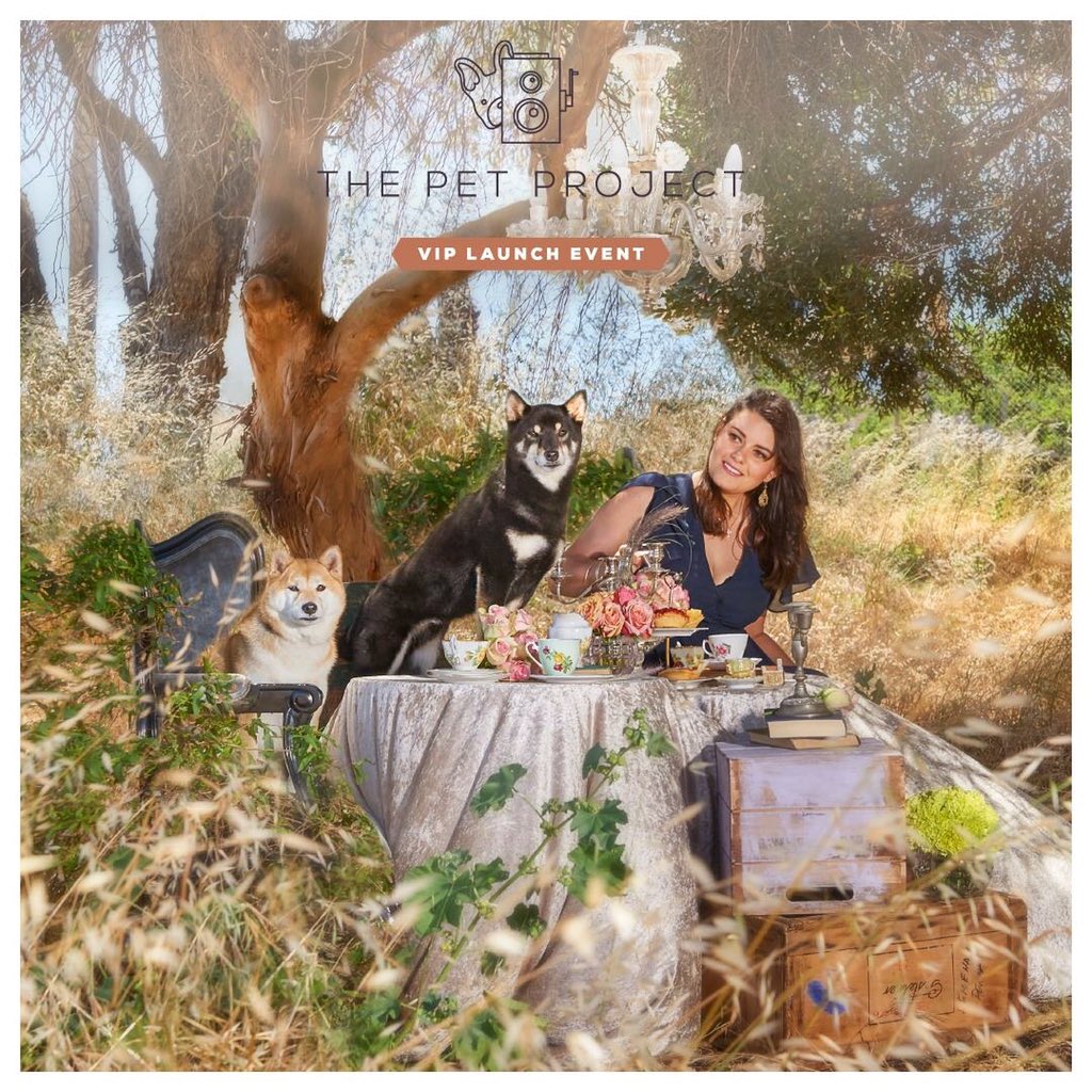 Lifeline_WA's tweet photo. Join us with your FurBaby friends for #ThePetProject https://t.co/5q3BOoPcnz https://t.co/OvdC68h9QH