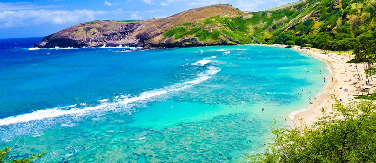 cmarting1996's tweet photo. Disfrute de las mejores playas en el día más importante de tu vida... #UEMCOMERCIALIZACIÓN #MariaFermarrieds #Hawaii https://t.co/SUSQjwWixL