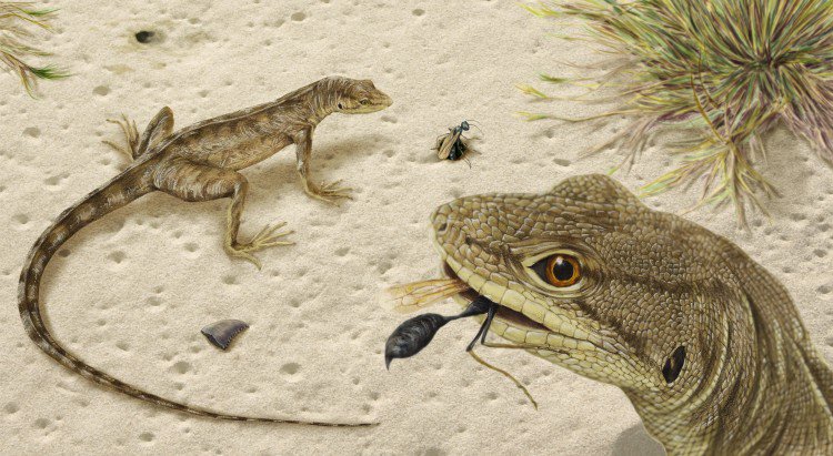 inarvaezp's tweet photo. Magnuviator, a new Late #Cretaceous iguanomorph from North America /v @UW https://t.co/zaSLKmGyyJ #squamate #lizards #iguania https://t.co/FNMNVPXuDl
