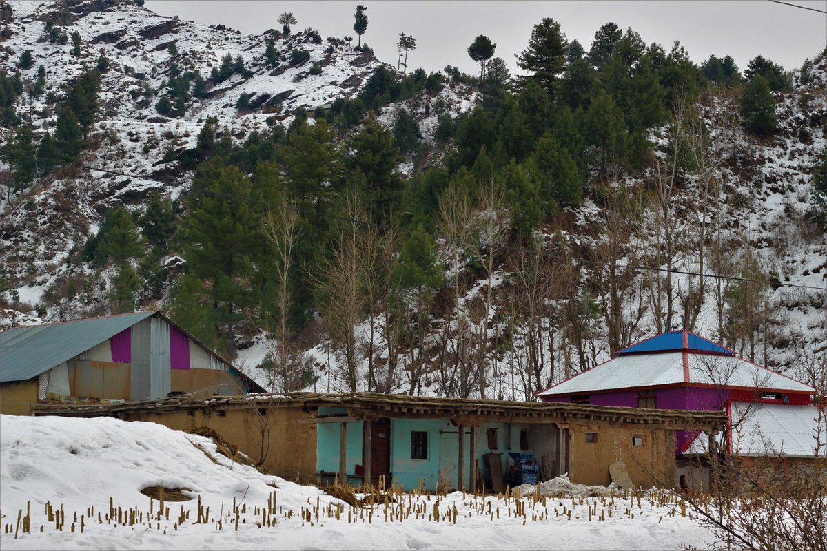 Swatbackpackers's tweet photo. Snow fall at Elum village, we witnessed frozen streams, playing above it. The amazing hospitality of the people was mind blowing #swatvalley https://t.co/KGXFrsKaCX