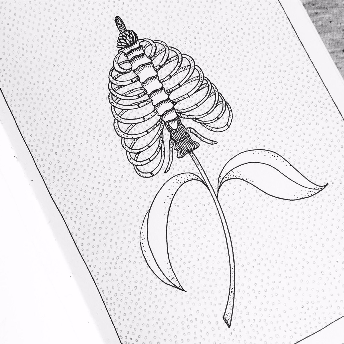 'fleur à oxygène' #illustration