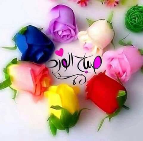 yaser20175 tweet picture