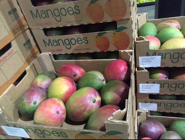 Inter_fresh1's tweet photo. Quality fresh Mangoes from Peru £3.50 case (10) while stocks last! #freshproduce #exotic #cheflife #cumbria #freshfoodservice #notjustlakes https://t.co/cO5WHn9gZ5