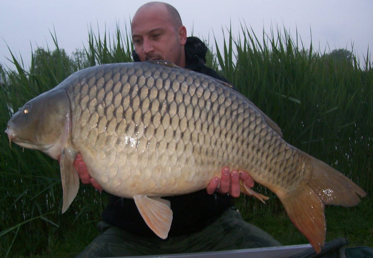 Carp_Master_1's tweet photo. #CarpMaster #KDRig #CarpFishing #LovelyTimes #oncarp #danglersnation #TriggaIce https://t.co/MWkKX2ELX8