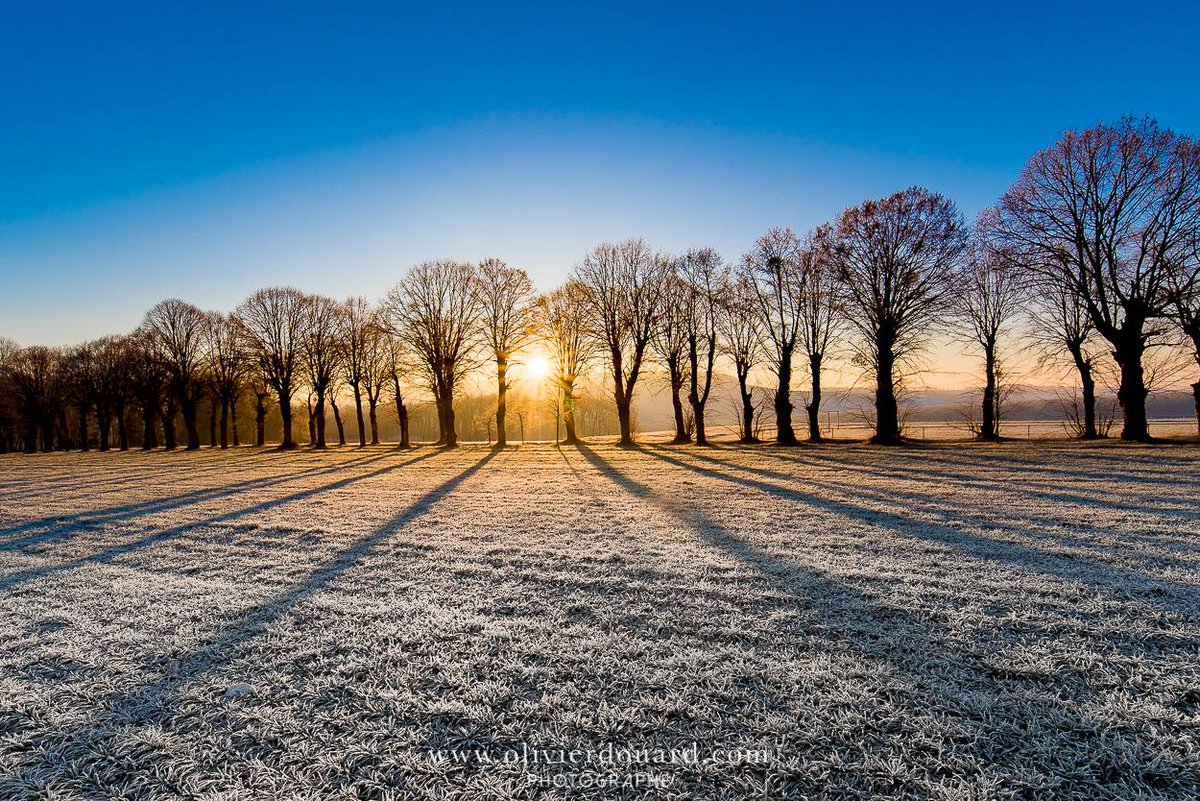 ChpBeerens's tweet photo. Très belle photo d'@olidou de notre superbe village d'Arrentières en hiver.
#champagne #soyezsurpis #cotedesbars #oenotourisme https://t.co/CuBXWierlD