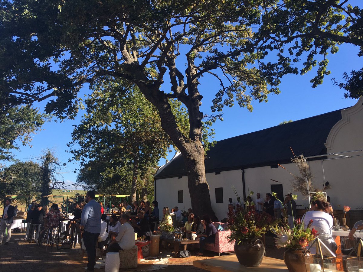 Zelda Coetzee tweet media