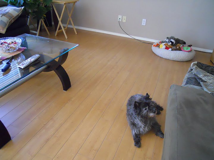 simplefloors's tweet image. 