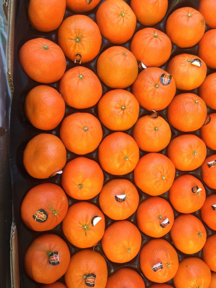 Millies_York's tweet photo. Nadacotts = sugar lumps 8 for £2 https://t.co/zv4OJFvXUf