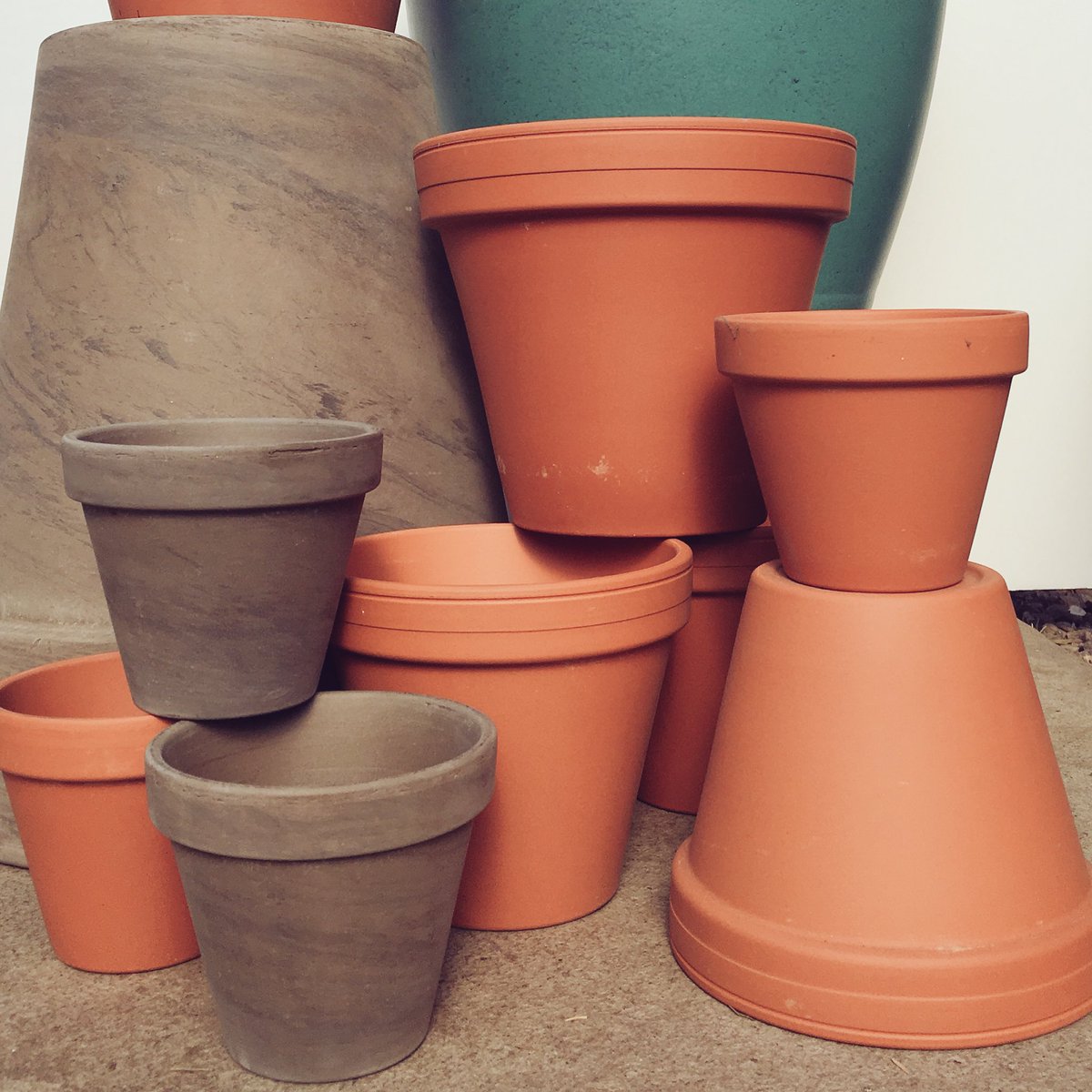 Winter #plantcare tip: take stock of #houseplants &amp; repot if needed; know-how and how-to here: bit.ly/2jRGKnQ