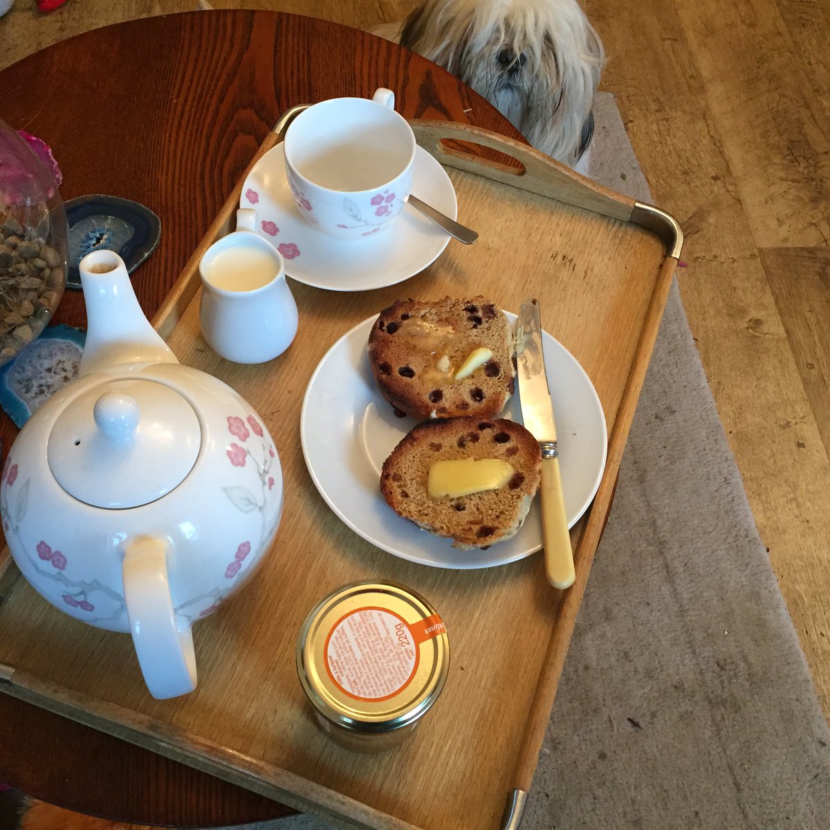 darcydoodledoo's tweet photo. Is it teatime? https://t.co/8CIRUm8HDV
