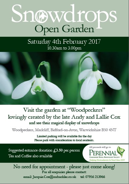 PerennialGRBS's tweet image. Pleased to share - Snowdrops Open Garden at Woodpeckers, Marlcliff, Bidford-on-Avon, B50 4NT. 10am - 3pm 4th Feb. All proceeds to Perennial.