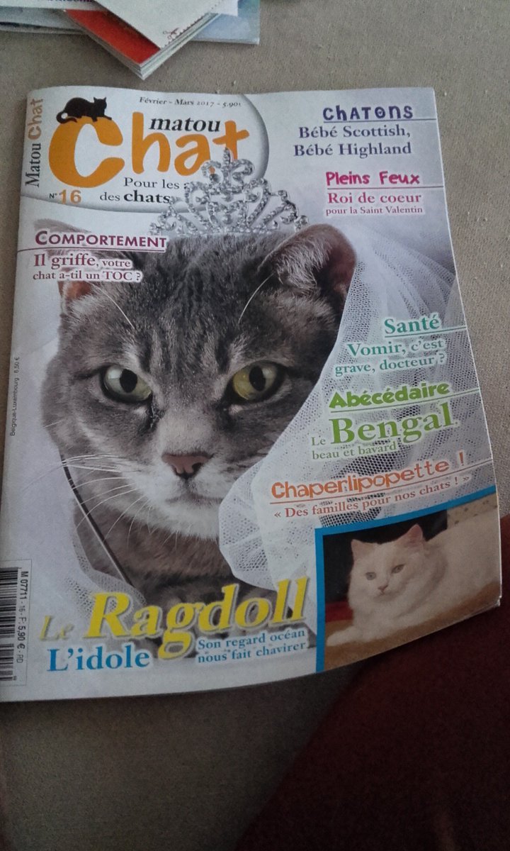krystelcarter's tweet photo. En mode lectureโบ๐ revue matouchat #chatlit #matouchat https://t.co/u6y8160GvN