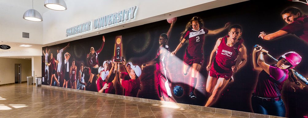 ChasePinter2's tweet image. I am excited and blessed to say that I will be furthering my education and basketball career at Schreiner University!! #GoNeers #SU21