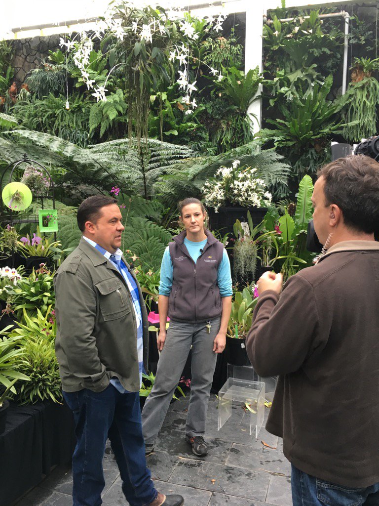 Como Zoo tweet media