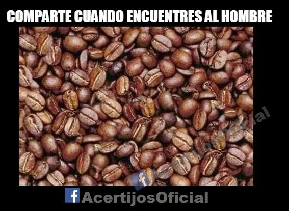 RoyCampos's tweet photo. "@gcerveravalee: La de pilón / el #reto extra hoy es poner atención y buscar en la imagen https://t.co/O7XjTROlOR