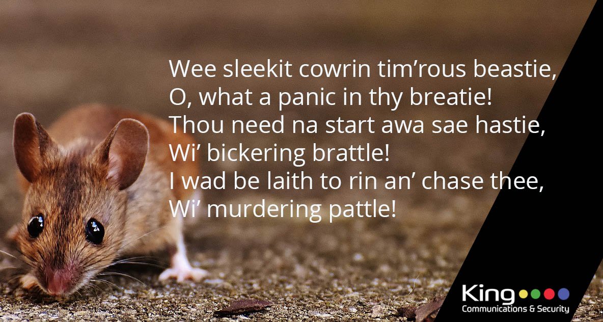 Who knows their traditional #scots #poetry? Can you name this extract from a piece by our celebrated poet, Robert Burns? #BurnsNight2017