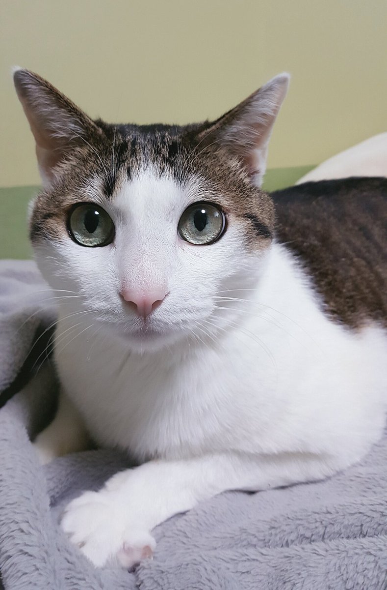 눈물 그렁그렁한 것처럼 나왔어 8ㅁ8