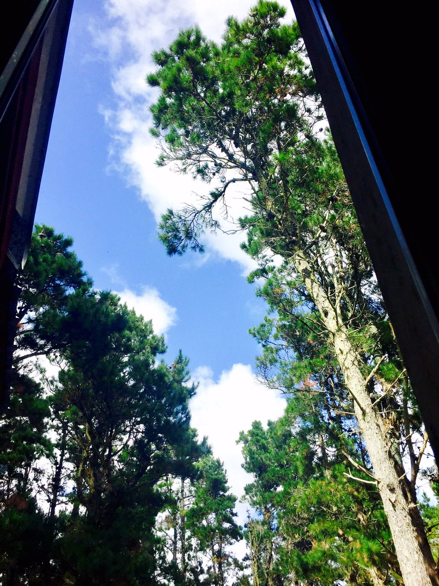Mi ventana 💚