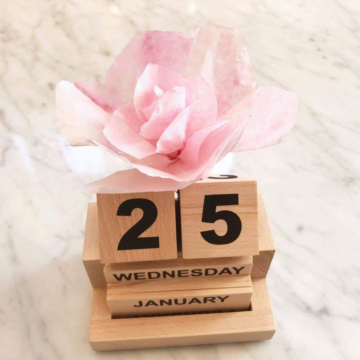 Today 25th January is Robert Burn's birthday. Are you celebrating Burns night tonight with a traditional haggis meal? #RobertBurns #scottish