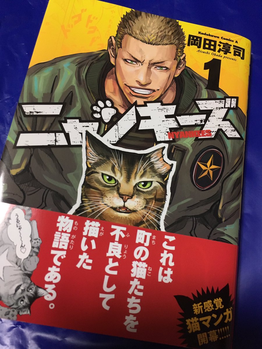 マリエ Auf Twitter 久々に ワンピース 以外の 漫画を買った ニャンキーズ 猫好きさんにオススメwww猫の描写めちゃくちゃ上手いし 猫の生態に詳しいwww不良漫画にしては絵柄も綺麗だし でも男 キャラは筋肉で女キャラは可愛いっていう つまり好みな絵柄 猫漫画と マリエ Auf Twitter 久々に ワンピース 以外の 漫画を買った ニャンキーズ 猫好きさんにオススメwww猫の描写めちゃくちゃ上手いし 猫の生態に詳しいwww不良漫画にしては絵柄も綺麗だし でも男 キャラは筋肉で女キャラは可愛いっていう つまり好みな絵柄 猫漫画と