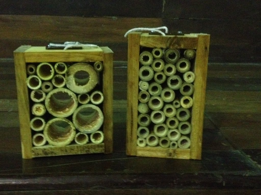 JIS_Junior_DT's tweet photo. It has been a busy day with #yr5 making their #bughotel @borneorainforestresort. A great success. #sustainable #upcycled #bamboo #pallets. https://t.co/uynK0EtoLF