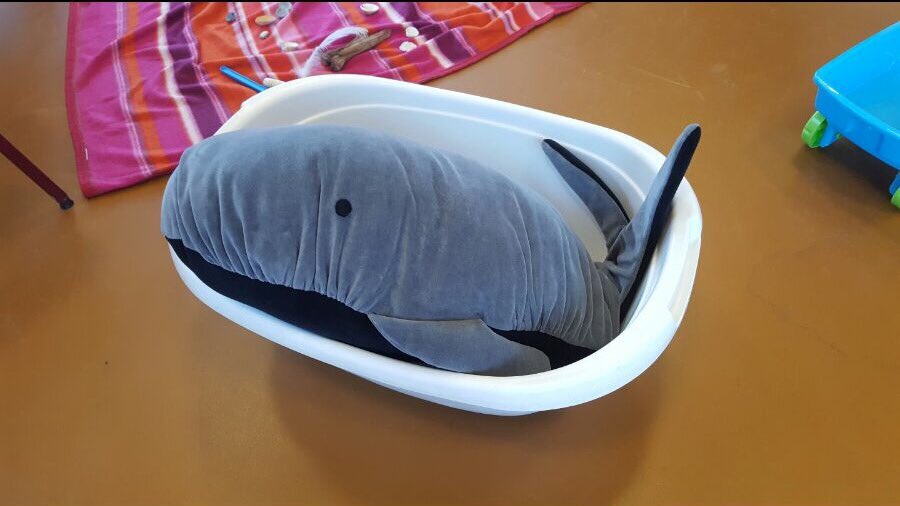 OBSDeFontein's tweet photo. Juf Maja van de bieb las vandaag het boek 'de kleine walvis' voor aan groep 1/2 #nationalevoorleesdagen https://t.co/gCYD9cHcQm