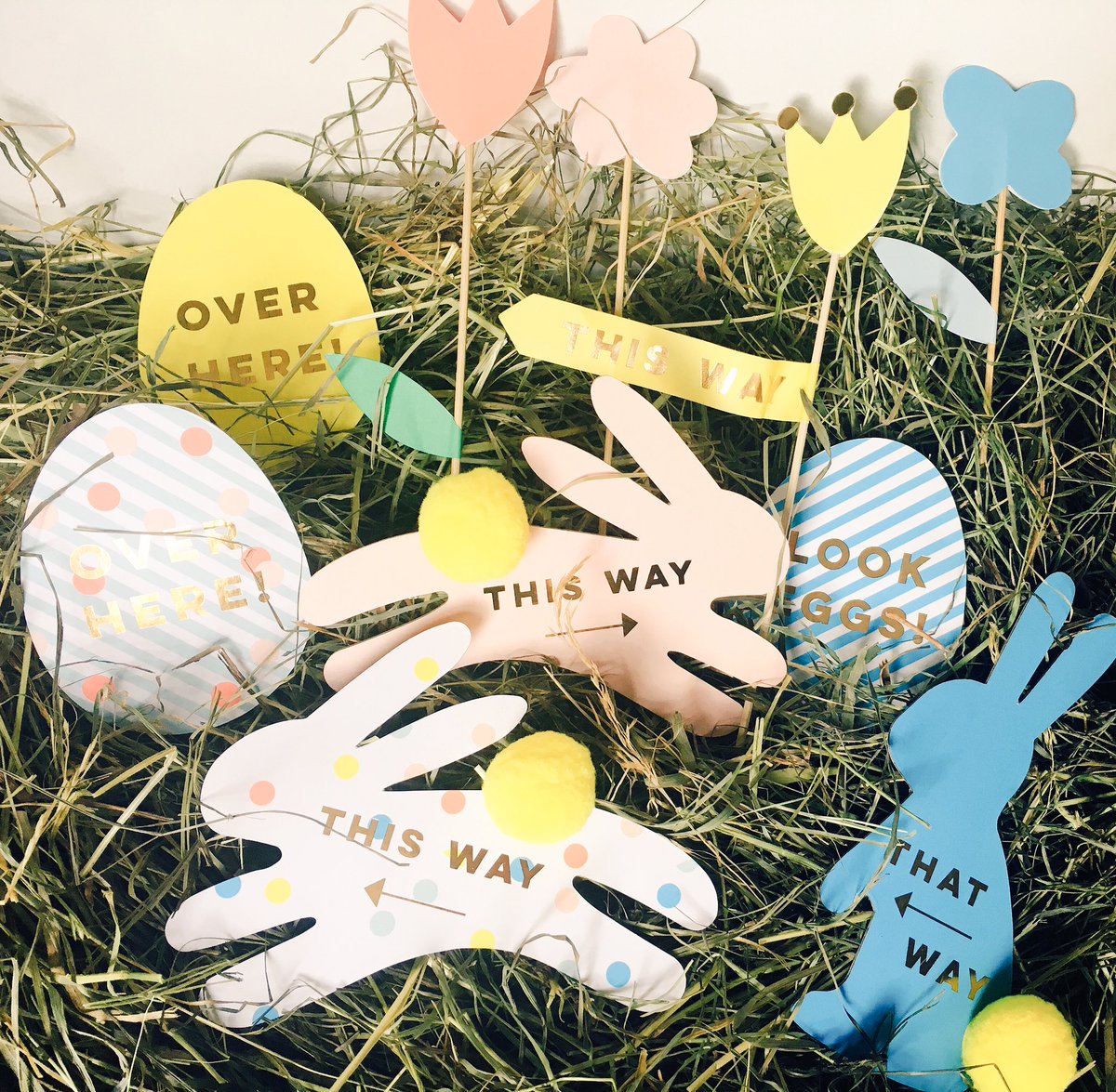 minipartybox's tweet photo. Busy morning working on our Easter Party in a Box photo shoot! #deluxeparty #childrenseasterteaparty #easterinstyle #bunnyrabbits https://t.co/EjQBEkNbvo