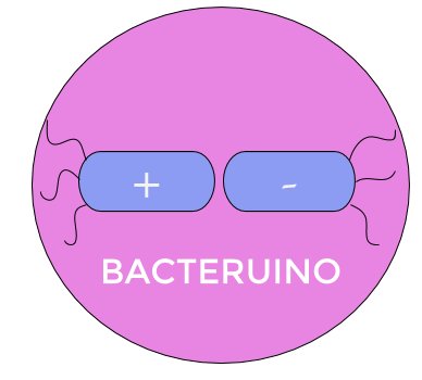 Bacteruino tweet media