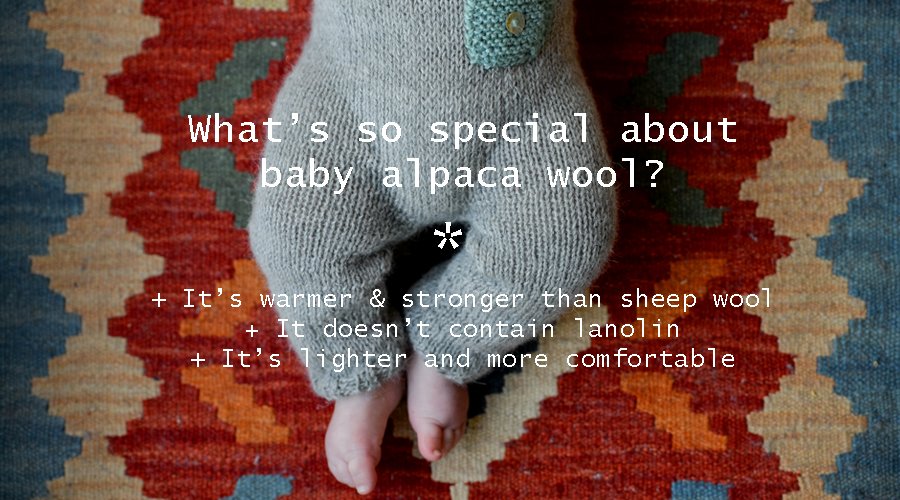 PetitAlpacaShop's tweet photo. What´s so special about Baby Alpaca Wool? Find it out here > https://t.co/KozGixby3R https://t.co/nrOhZPqiAy