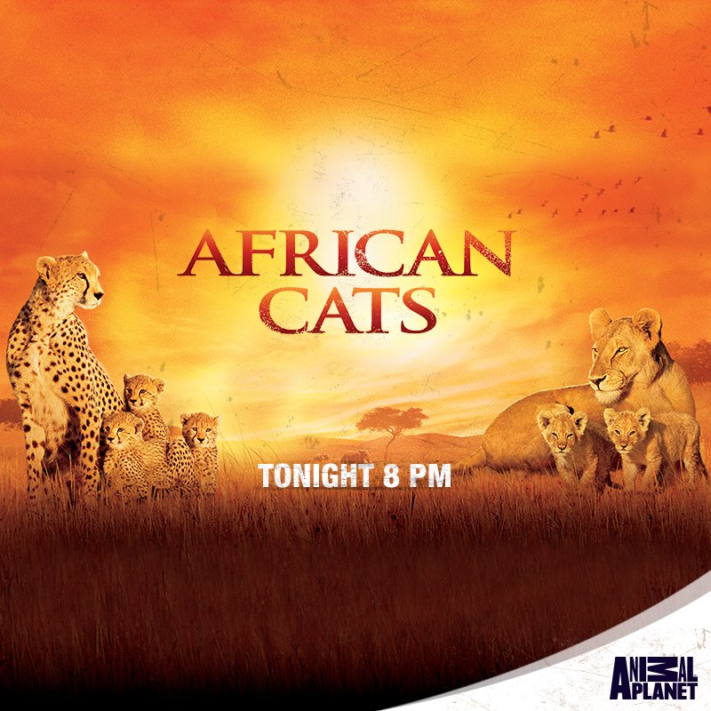 Animal Planet India on Twitter: Animal Planet India on Twitter: