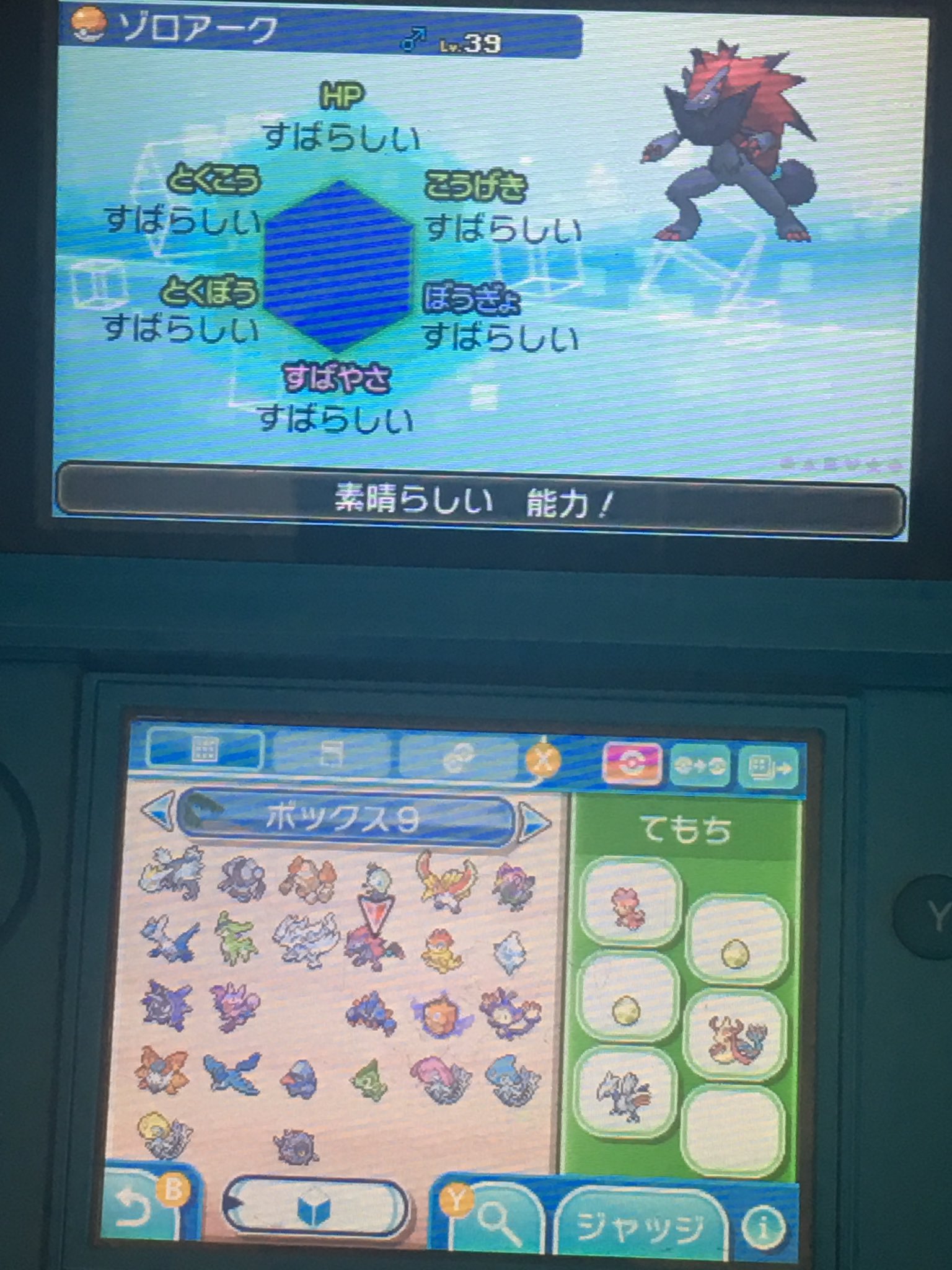 ポケバンク Twitter Search Twitter