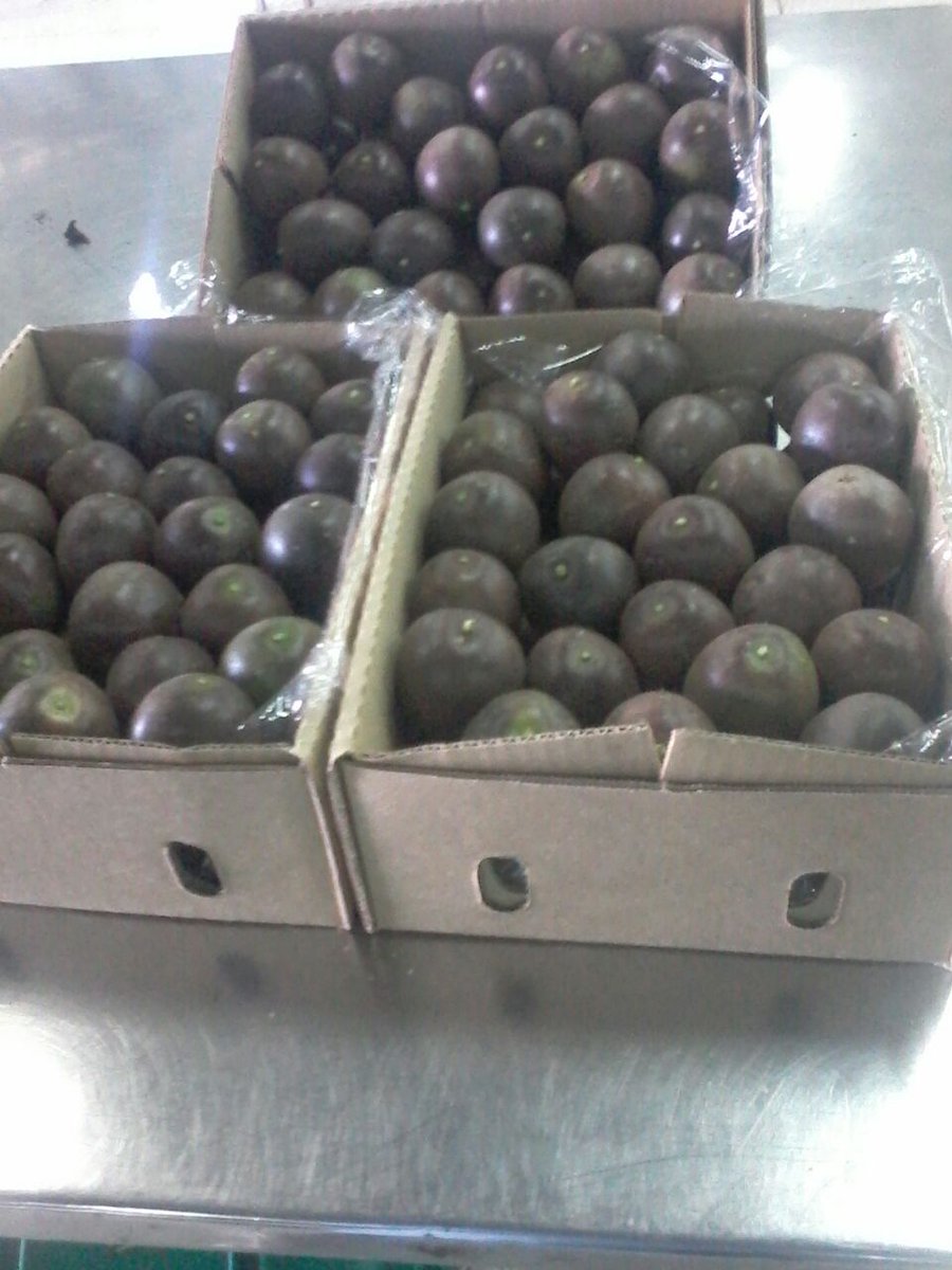 markgrown's tweet image. They are ready now