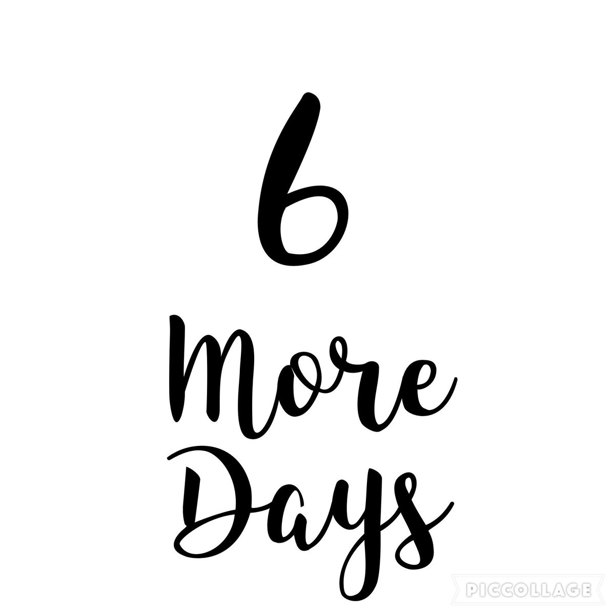 ELEVATEYEG's tweet photo. Only 6 days until we close our doors. Everything in store and online is 40% OFF. Get 50% OFF when you buy 2 or more bras or shorts https://t.co/aBQ65zGVX8