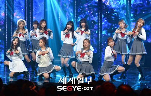 WJSN_INA's tweet photo. 170125 #우주소녀 WJSN @ MBC Show Champion https://t.co/Hgo3AZWvQq