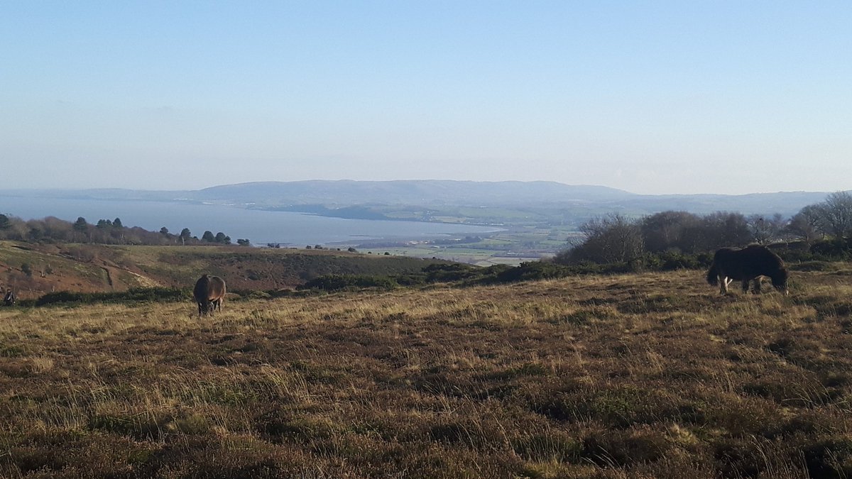 LydiaRosling's tweet photo. @XManEvents meeting in the Exmoor office #NotBad #TriTheBeast #Triathlon https://t.co/QN4hABMYHR